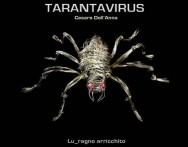 Tarantavirus in concerto