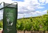 Ritorna Cantine Aperte, alla scoperta del territorio tra vigneti e degustazioni di vini