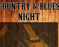 The Old Country Blues Trio in concerto
