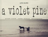A Violet Pine in concerto