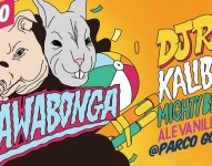 Kawabonga Party