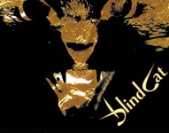 BlindCat in concerto