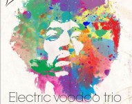 Electric Voodoo in concerto