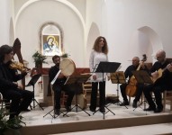 Ensemble Concentus in concerto