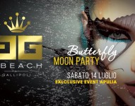 Butterfly Moon Party