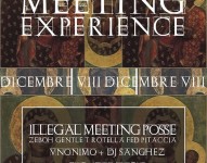 Illegal Meeting Experience