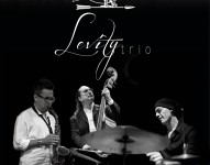 Levity Trio in concerto