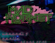 Mad Hornet in concerto